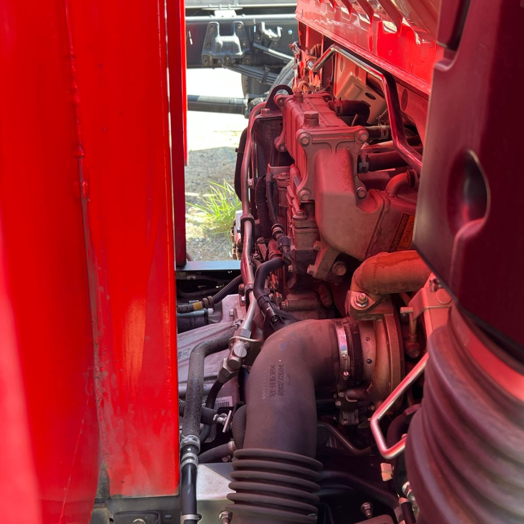 NQR 919 - Año 2025 4