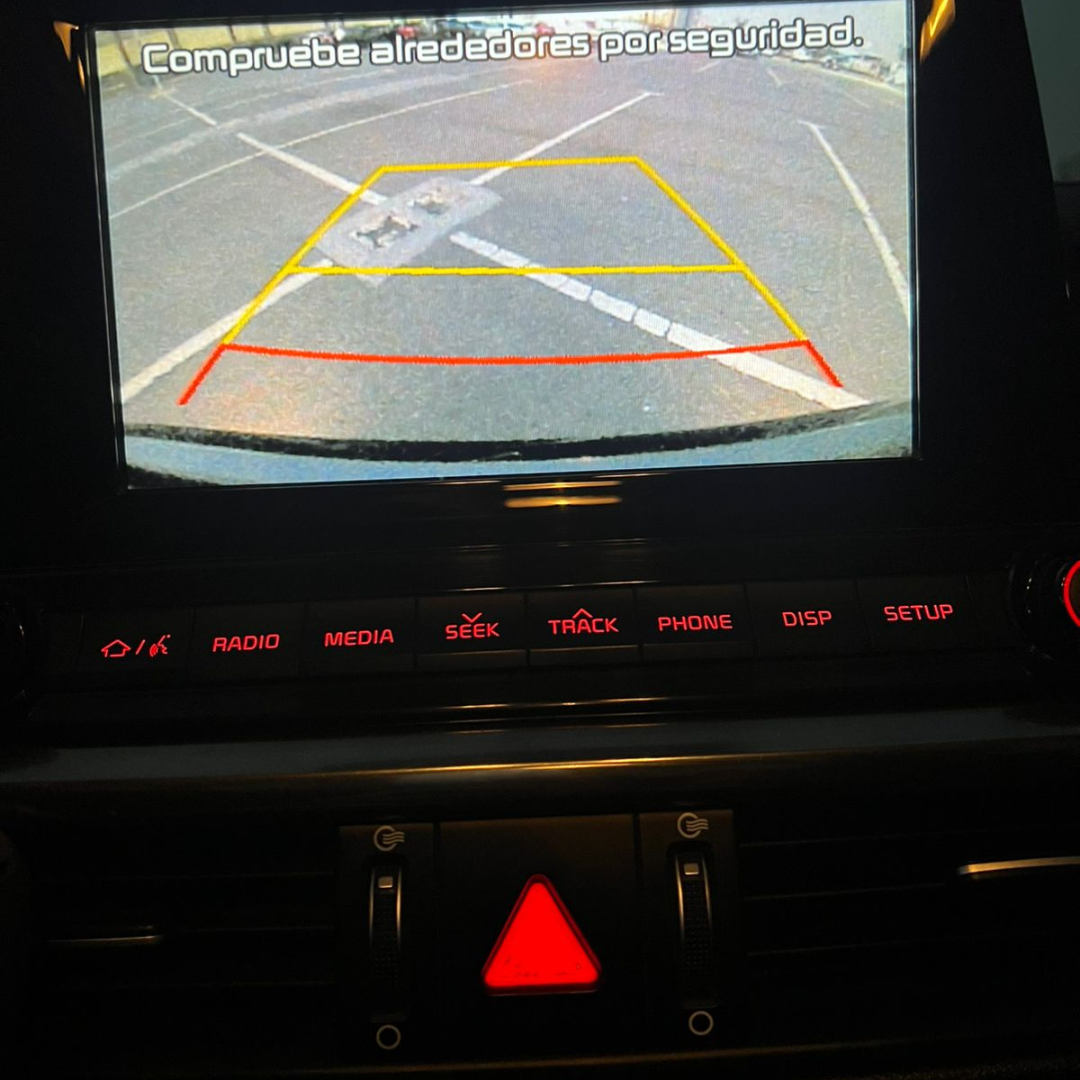 Cerato - Año 2019 17