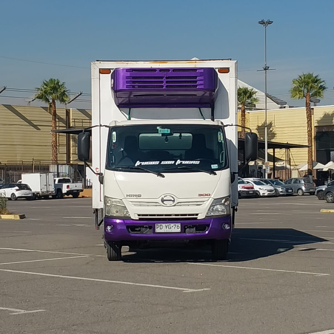 XZU 8.0 Año 2020 2