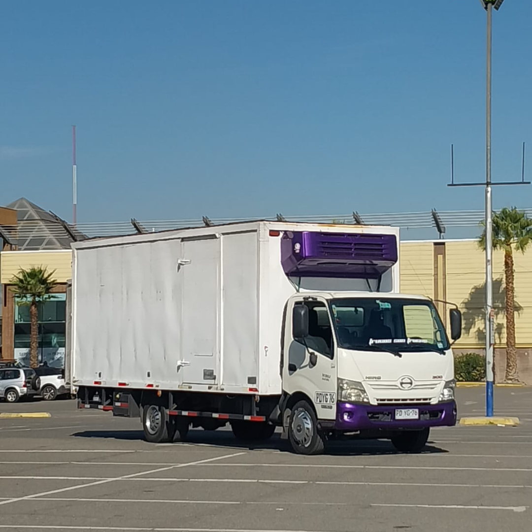 XZU 8.0 Año 2020 1