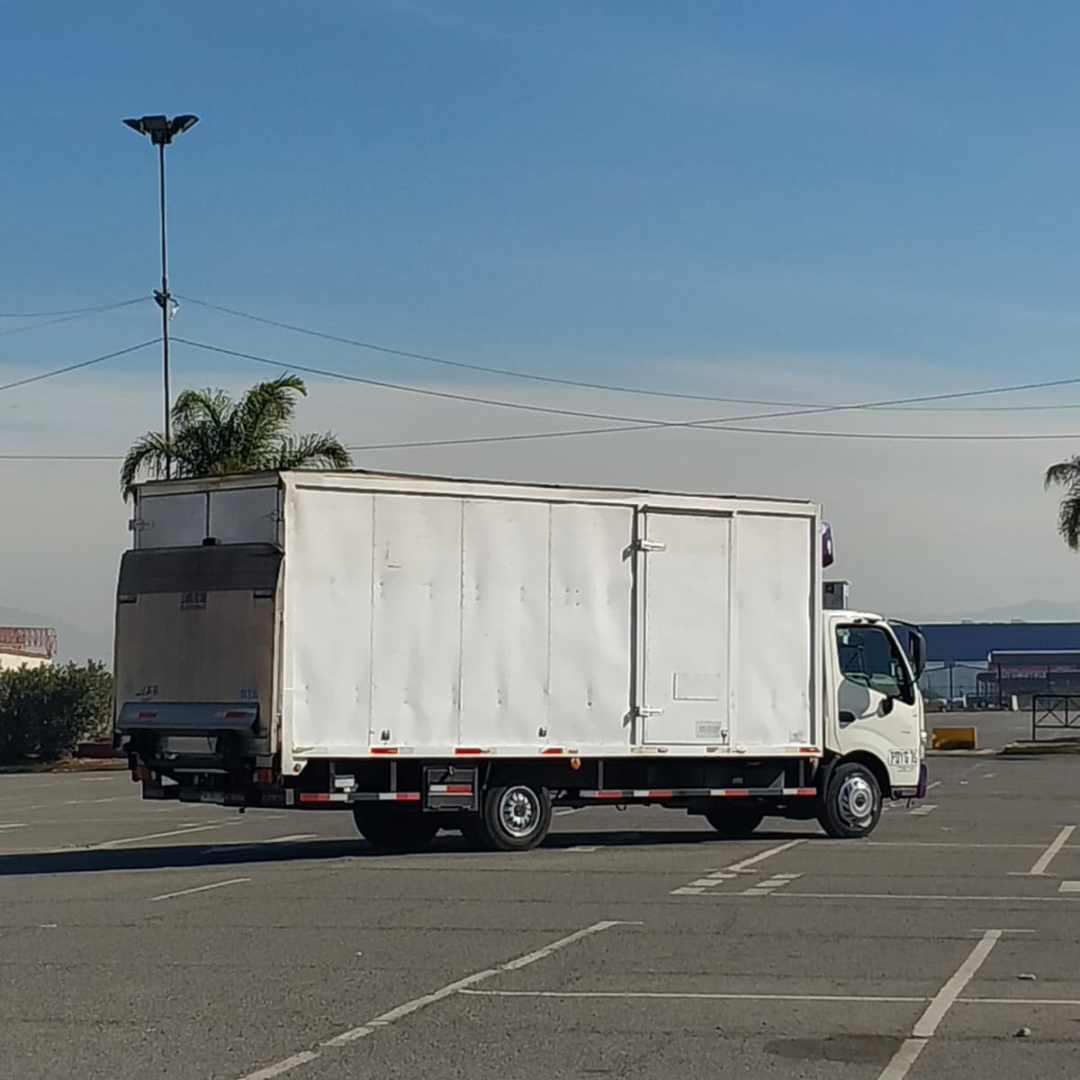 XZU 8.0 Año 2020 4