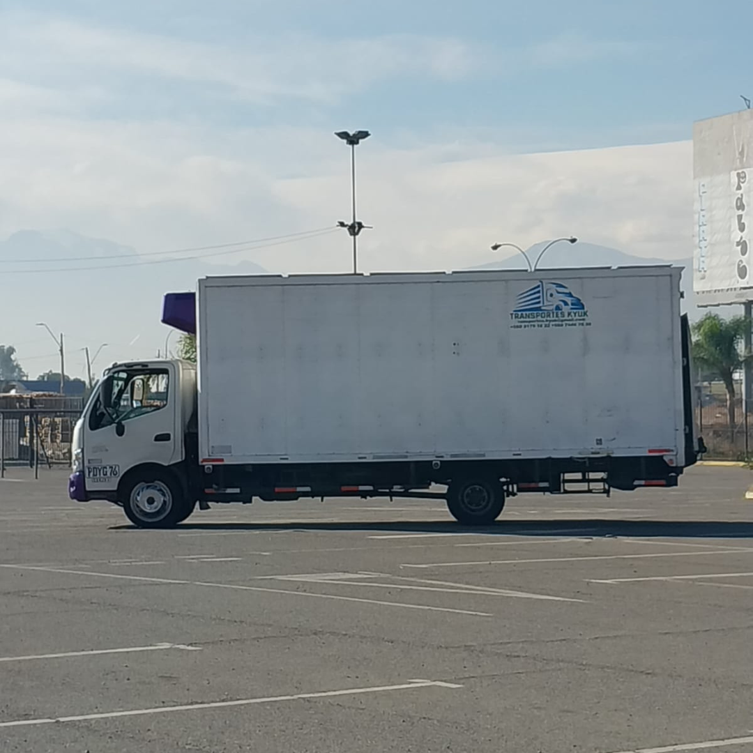 XZU 8.0 Año 2020 10