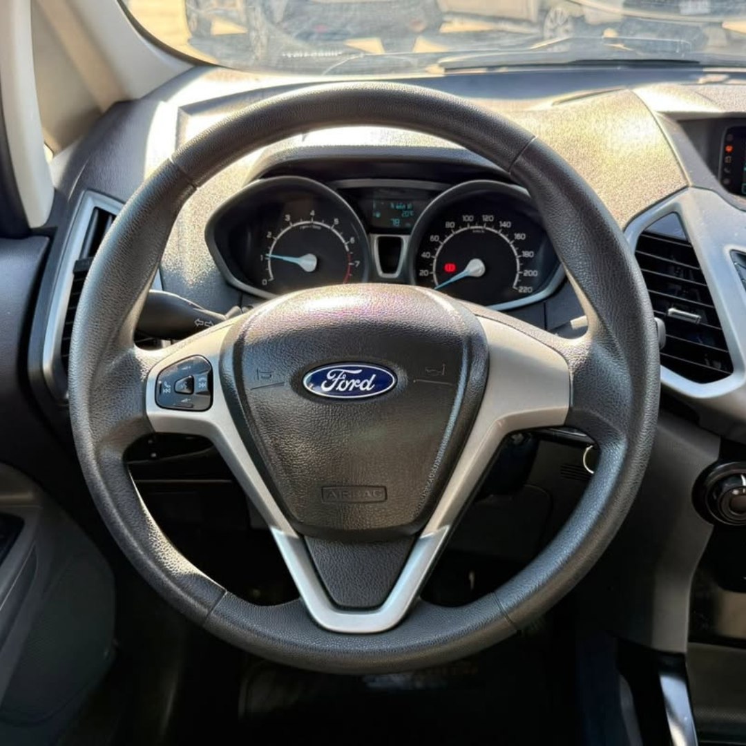 Ecosport - 2017 9