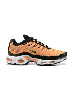 Nike Air Max Tn 1 Plus 