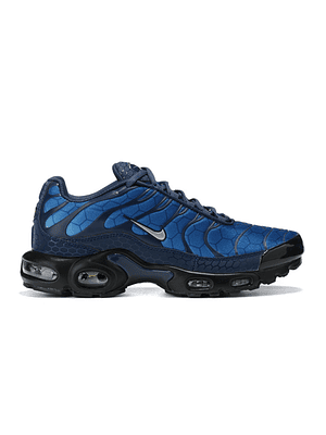 Nike Air Max Tn 1 Plus 