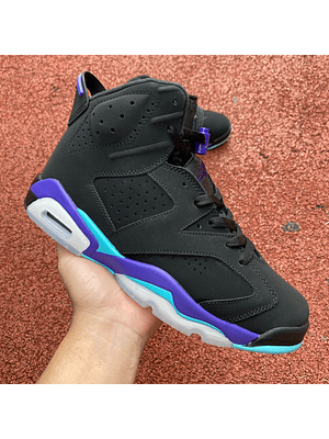 Air Jordan 6