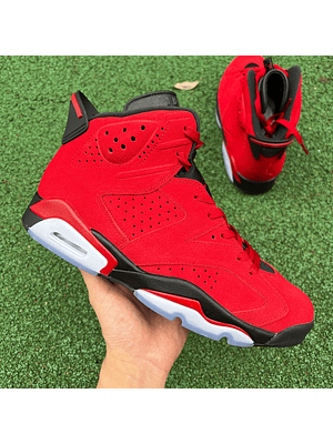 Air Jordan 6