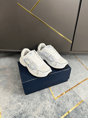 Dior B30