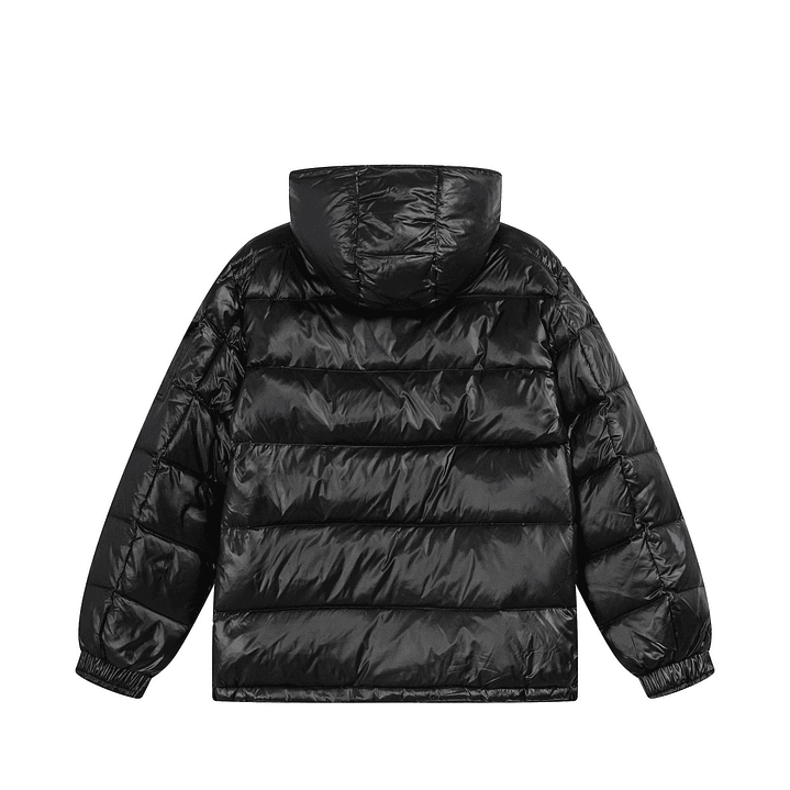 Casaco Moncler  2