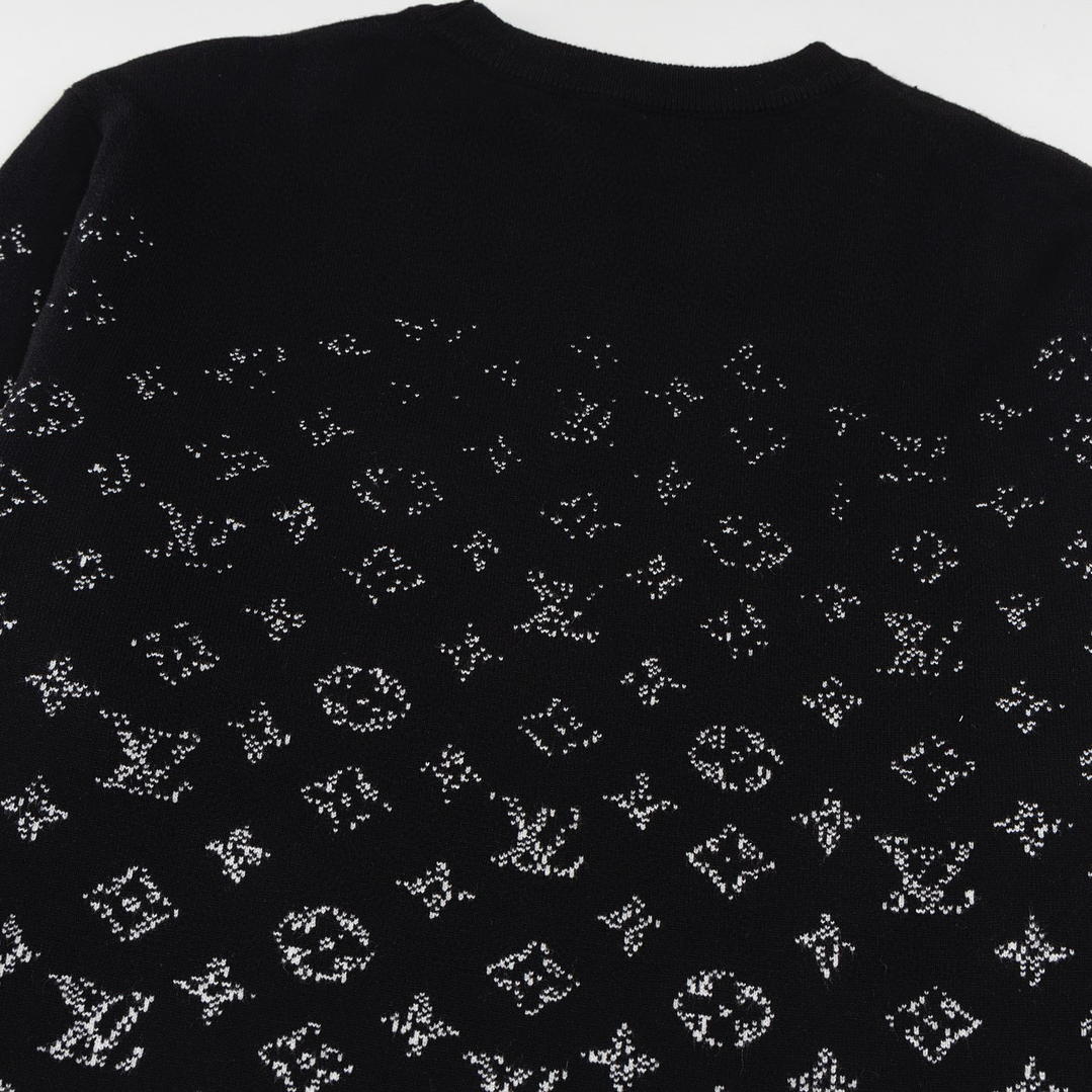 Louis Vuitton Sweater 10