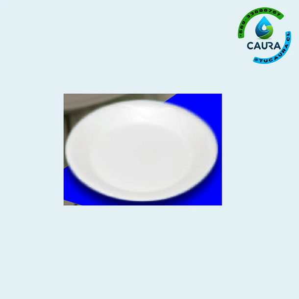 PLATO BLANCO PLASTICO X 25 UND