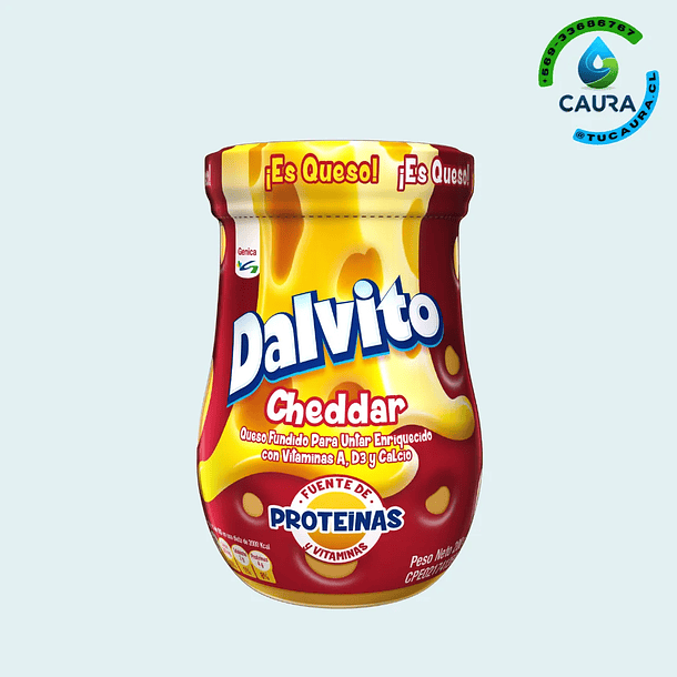 DALVITO QUESO CHEDDAR 200 GR