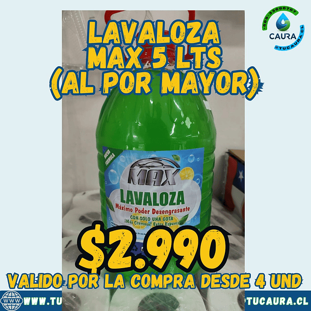 LAVALOZA CONCENTRADO MAX 5 LITROS POR MAYOR