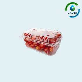 ENVASE CLAMSHELL (FRUTILLA) 1000 GR (5070-360)