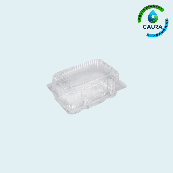 ENVASE TRANSPARENTE RECTANGULAR ECO-PET (4-1 PET)