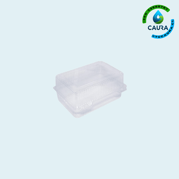 ENVASE TRANSPARENTE RECTANGULAR ECO-PET (0-1 AA)