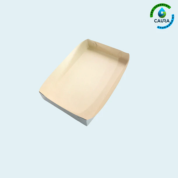 BANDEJA CARTON ARMABLE B1 20,5X7 CM X20 UND (100)