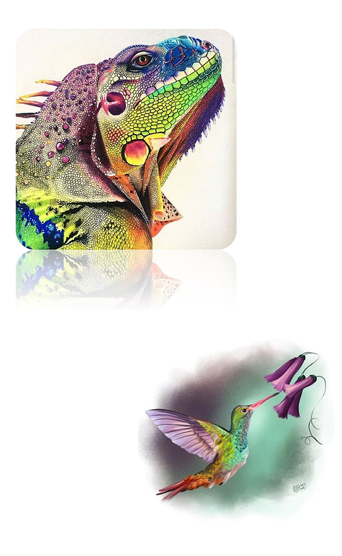 12 Lapices de colores madera natural palo new elite calidad pintar dibujo 