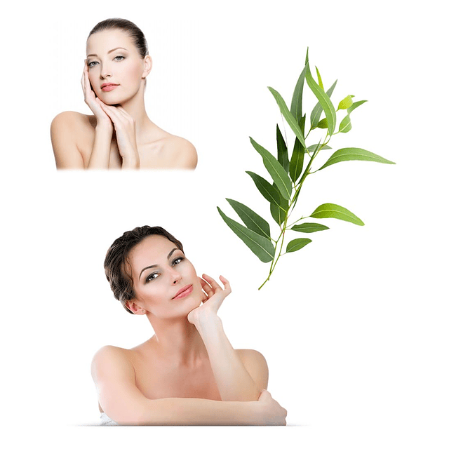 Aceite natural eucalipto puro antienrojecimiento oleato rosacea piel sensible