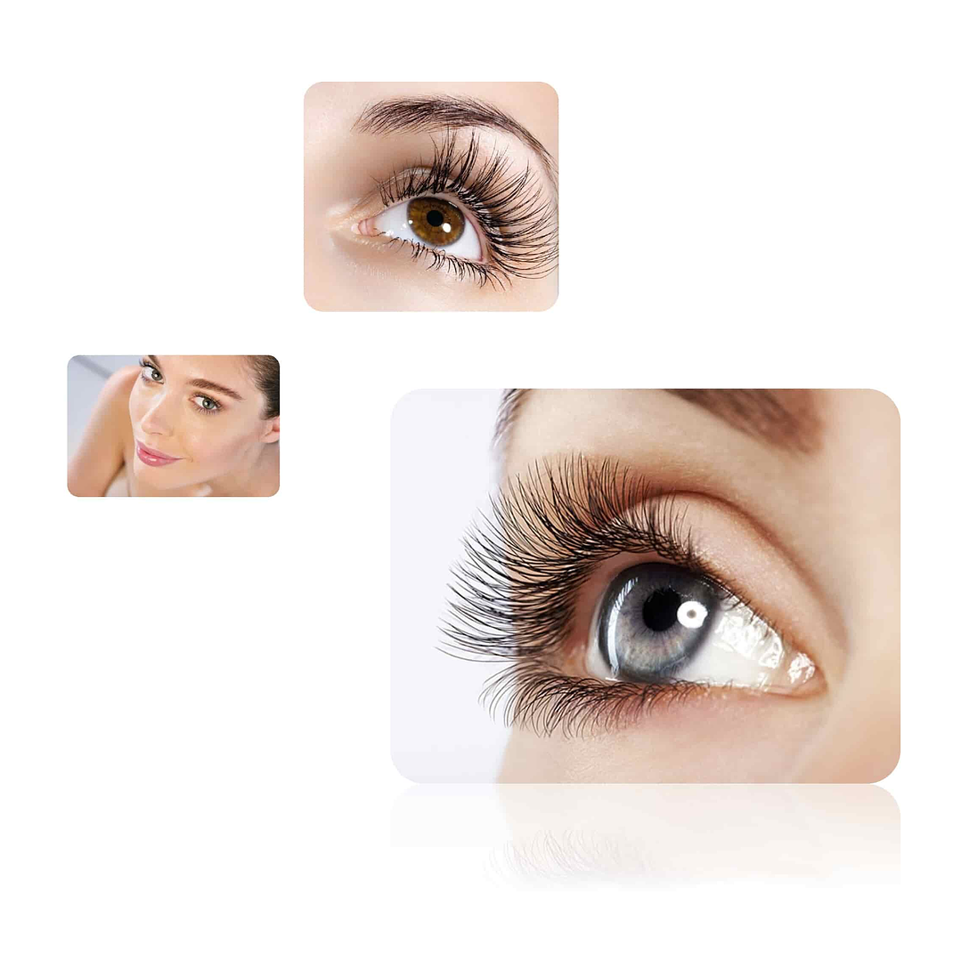 Venta por mayor 6 tinturas color negro ainybel dermik pestañas y cejas 2