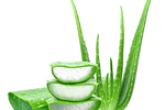 ¿Las cremas con aloe vera sirven para el acné?