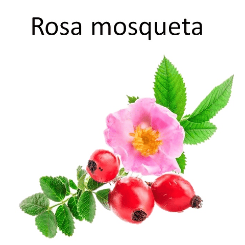 Rosa mosqueta en la cara: Beneficios y usos