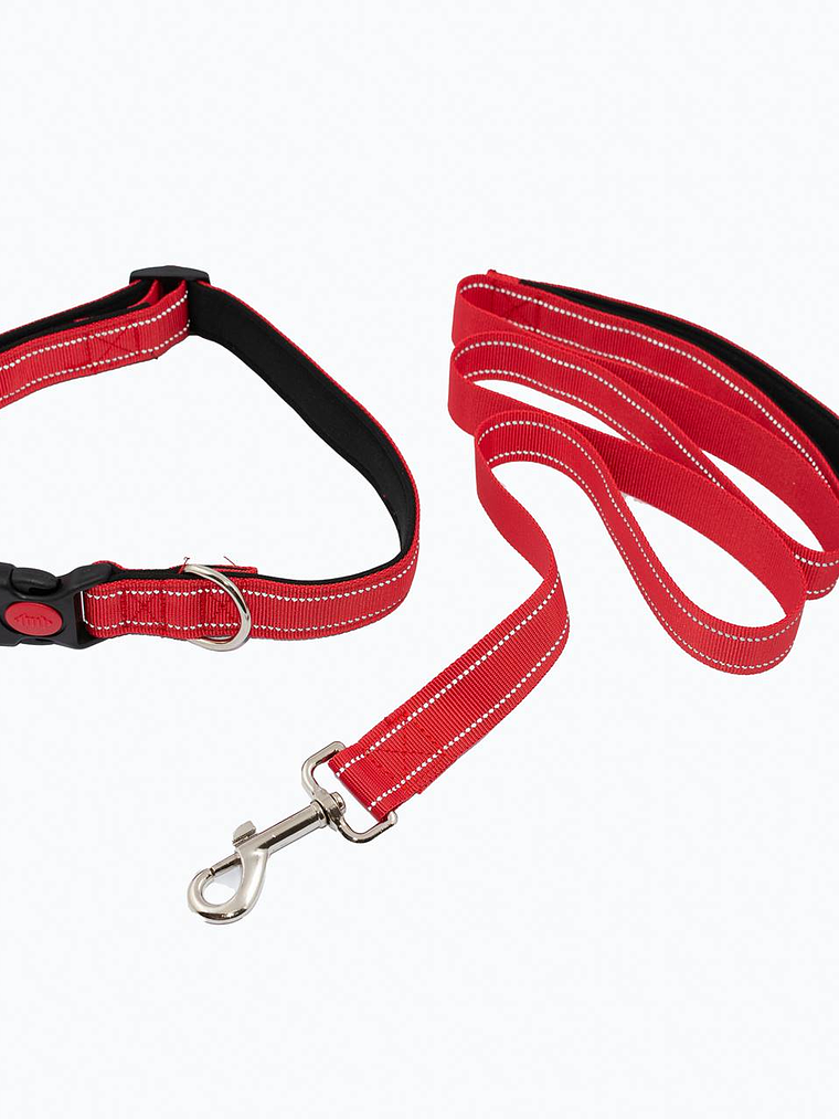 Collar más correa 1