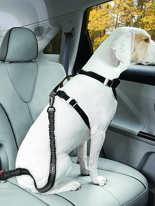 Correa para perro de seguridad en auto