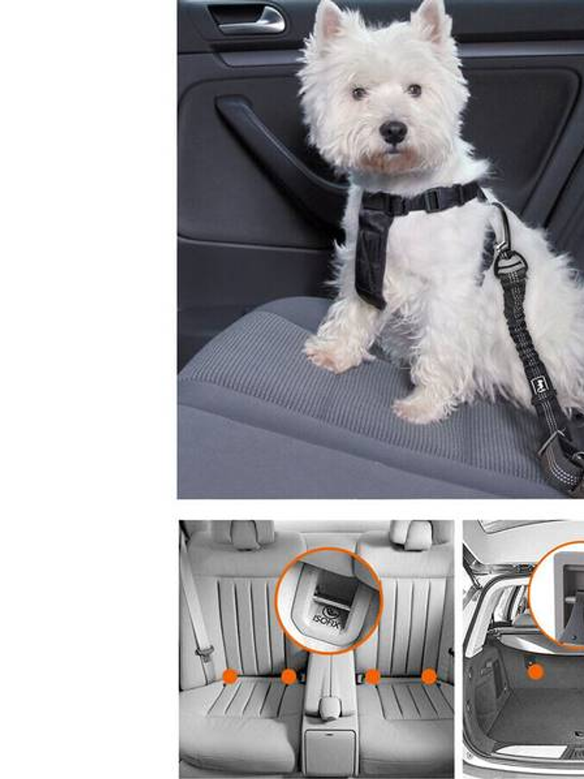 Correa para perro de seguridad en auto 2
