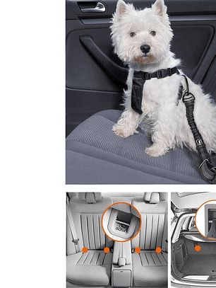 Correa para perro de seguridad en auto