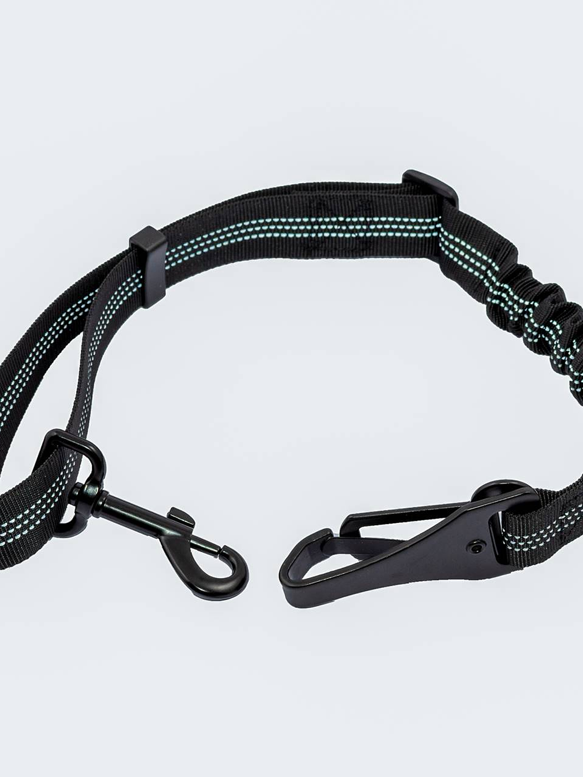 Correa para perro de seguridad en auto 3