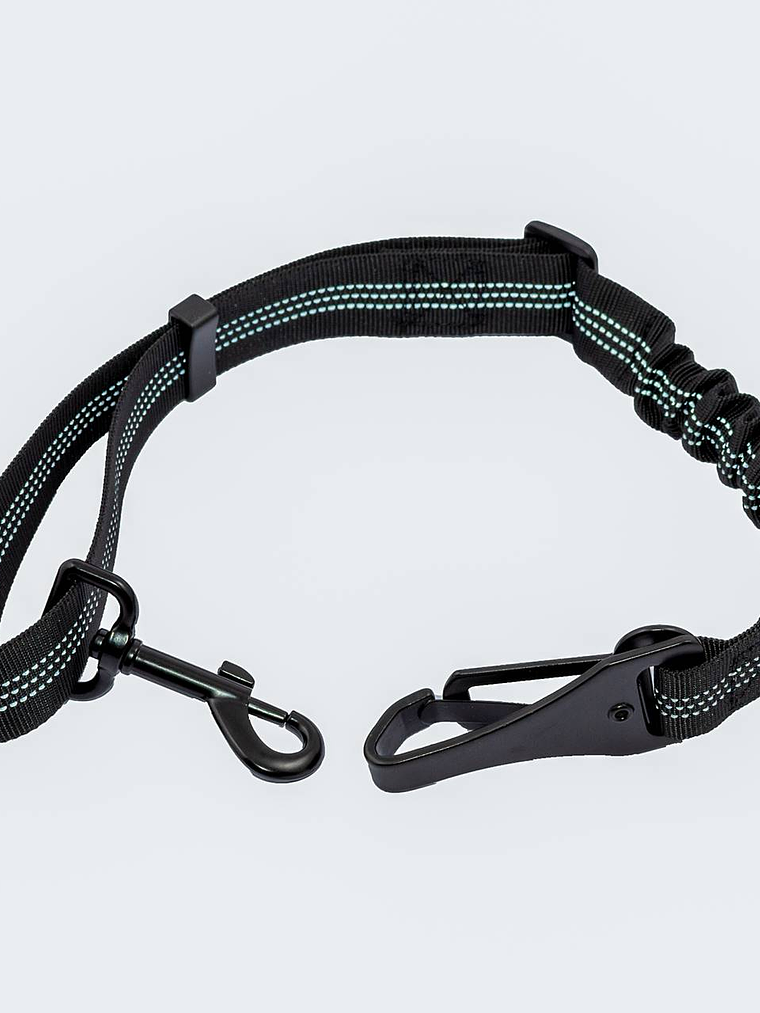 Correa para perro de seguridad en auto 3