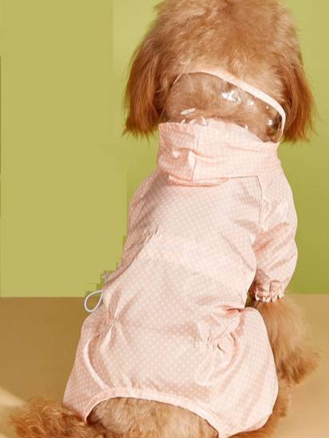 Capita Impermeable para perro pequeño 2