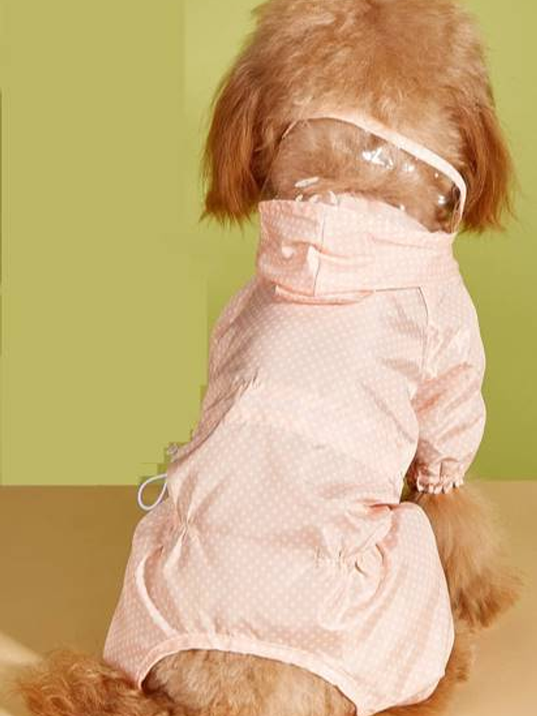 Capita Impermeable para perro pequeño 2