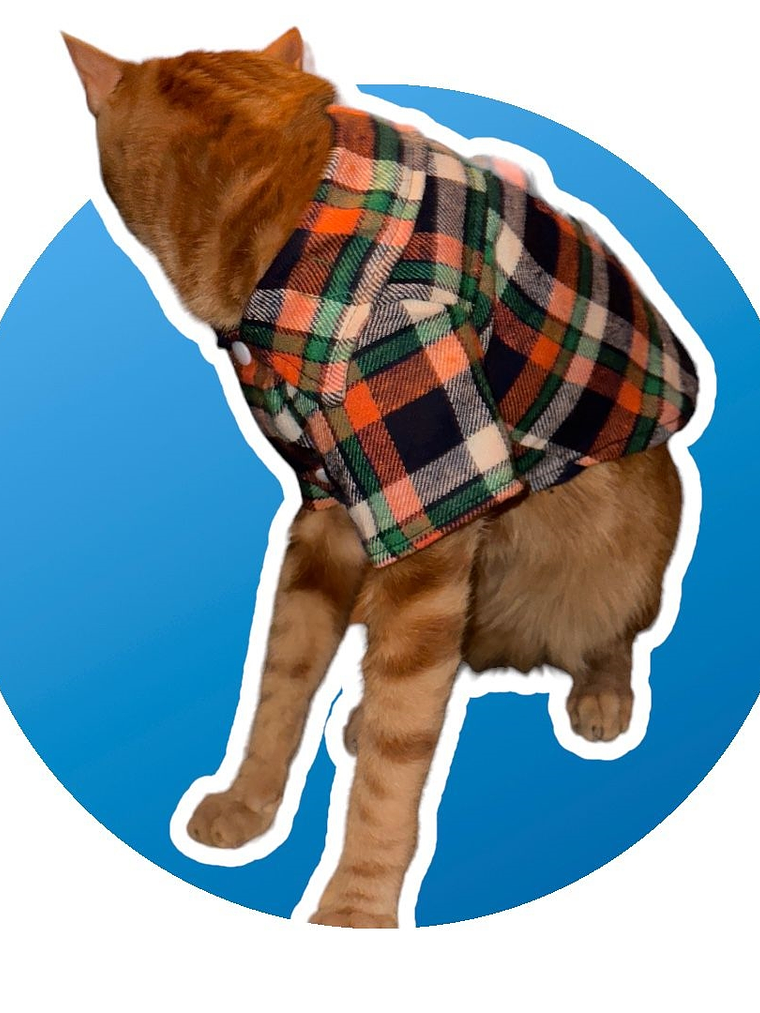 Camisa leñadora PERRITO TOY O MINI 3