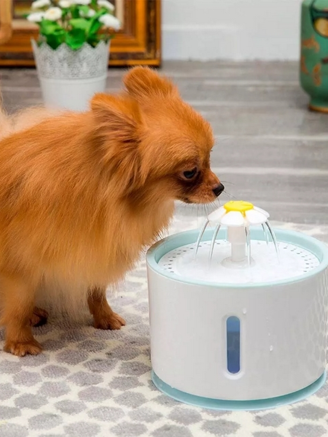 Bebedero para mascotas 7