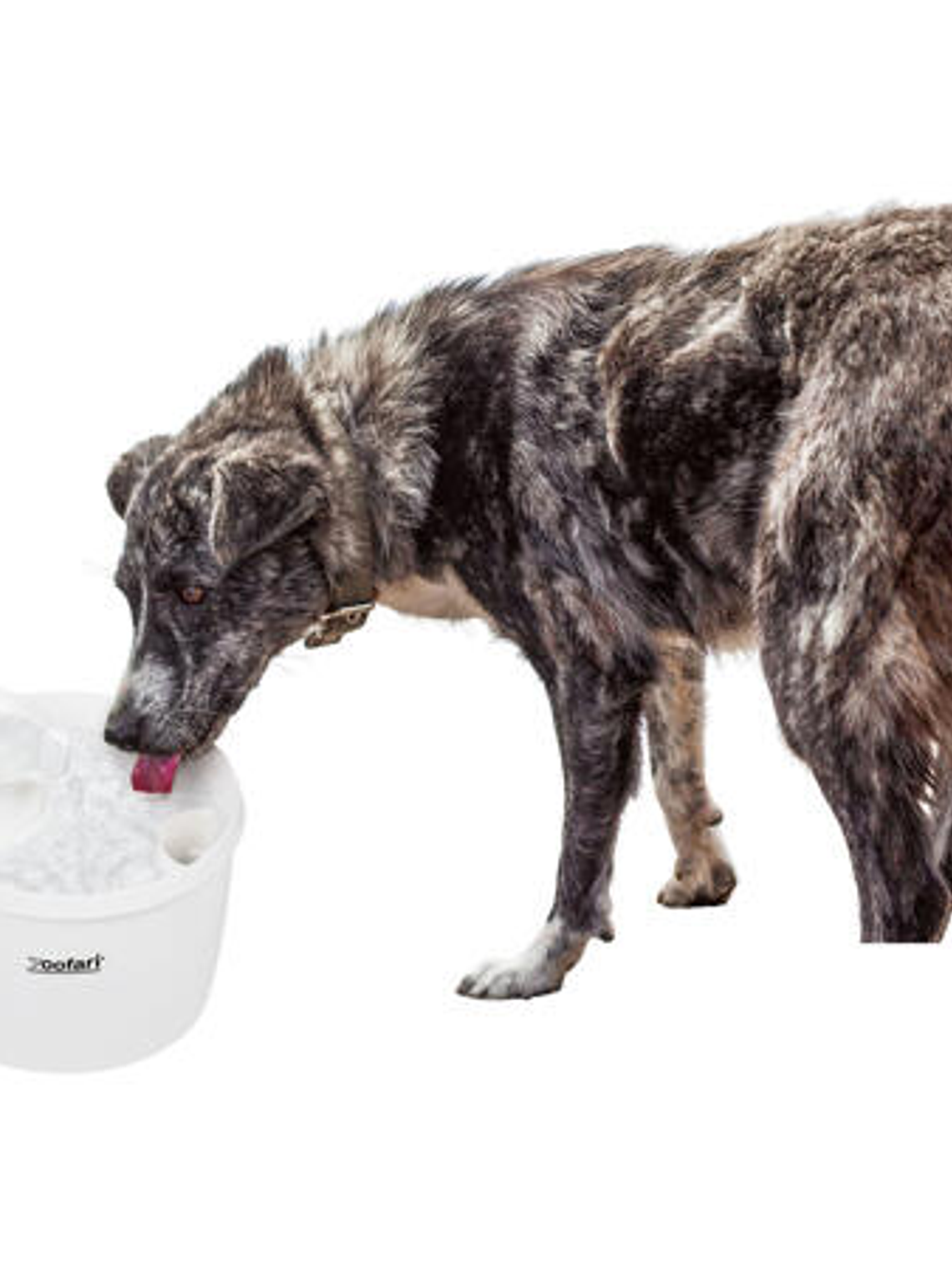 Bebedero para mascota 2,7 litros 2