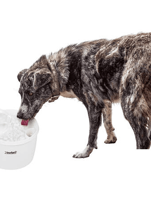 Bebedero para mascota 2,7 litros