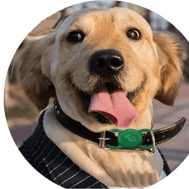 Airtag Funda Para Collar De Mascota