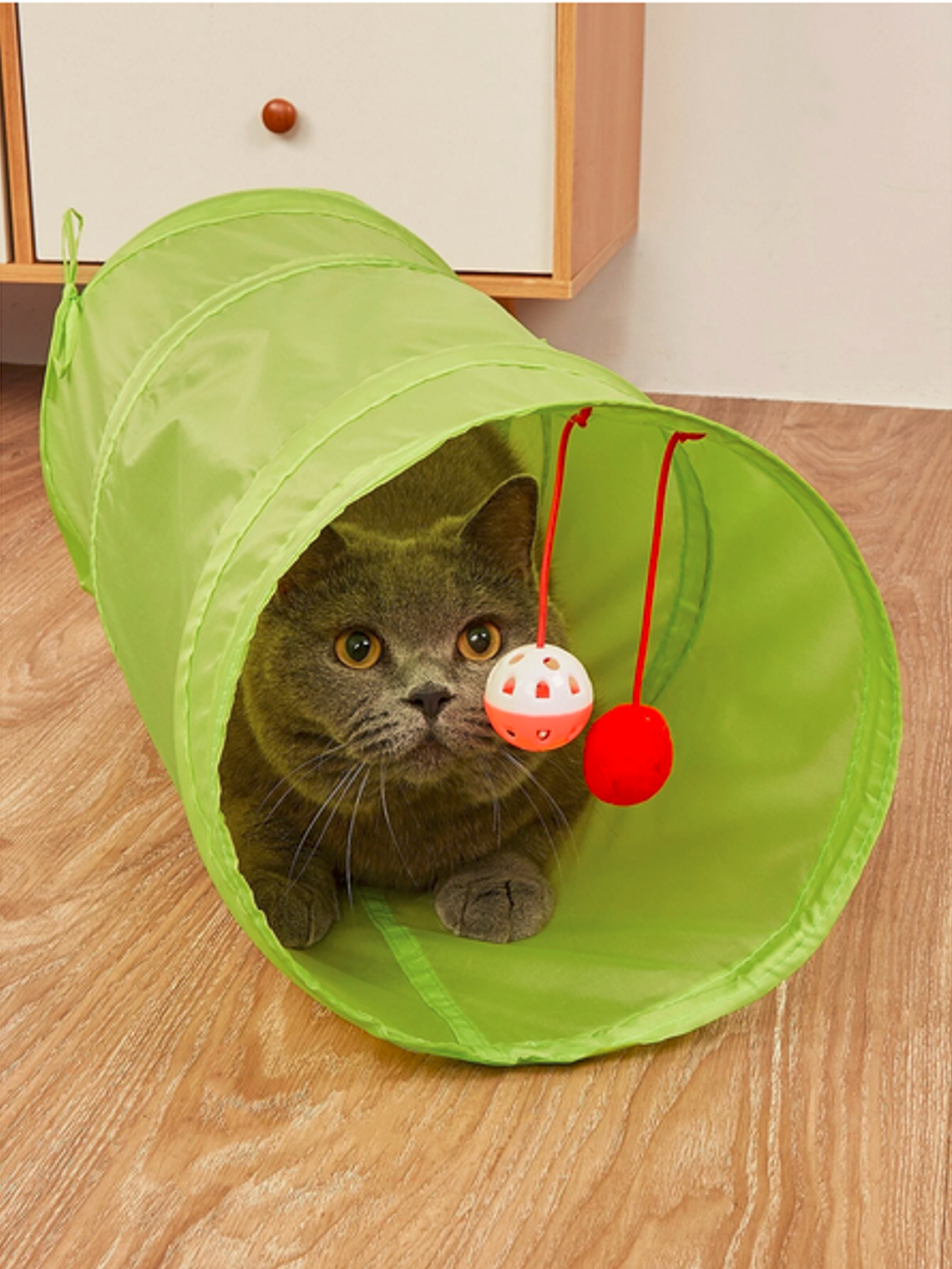 Tunel para gatos 7