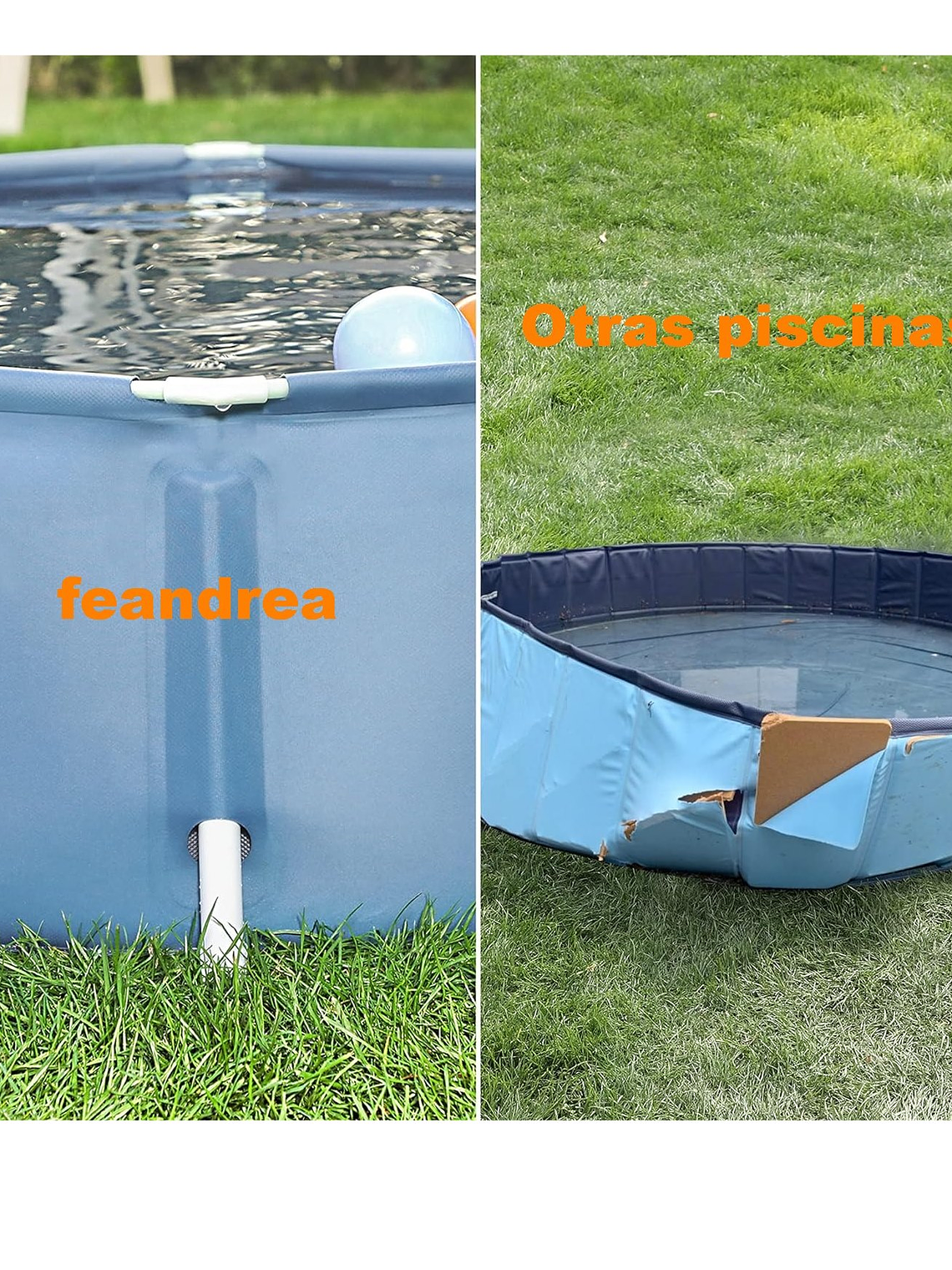 Piscina para tu mascota 140cm diámetro 30cm de alto 6