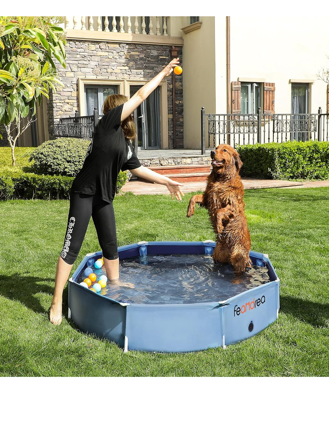 Piscina para tu mascota 140cm diámetro 30cm de alto 8