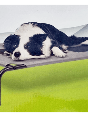 Cama elevada para mascota