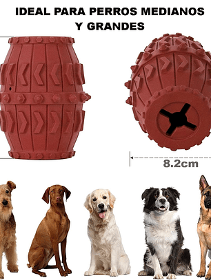 Juguete dental para perro-barril