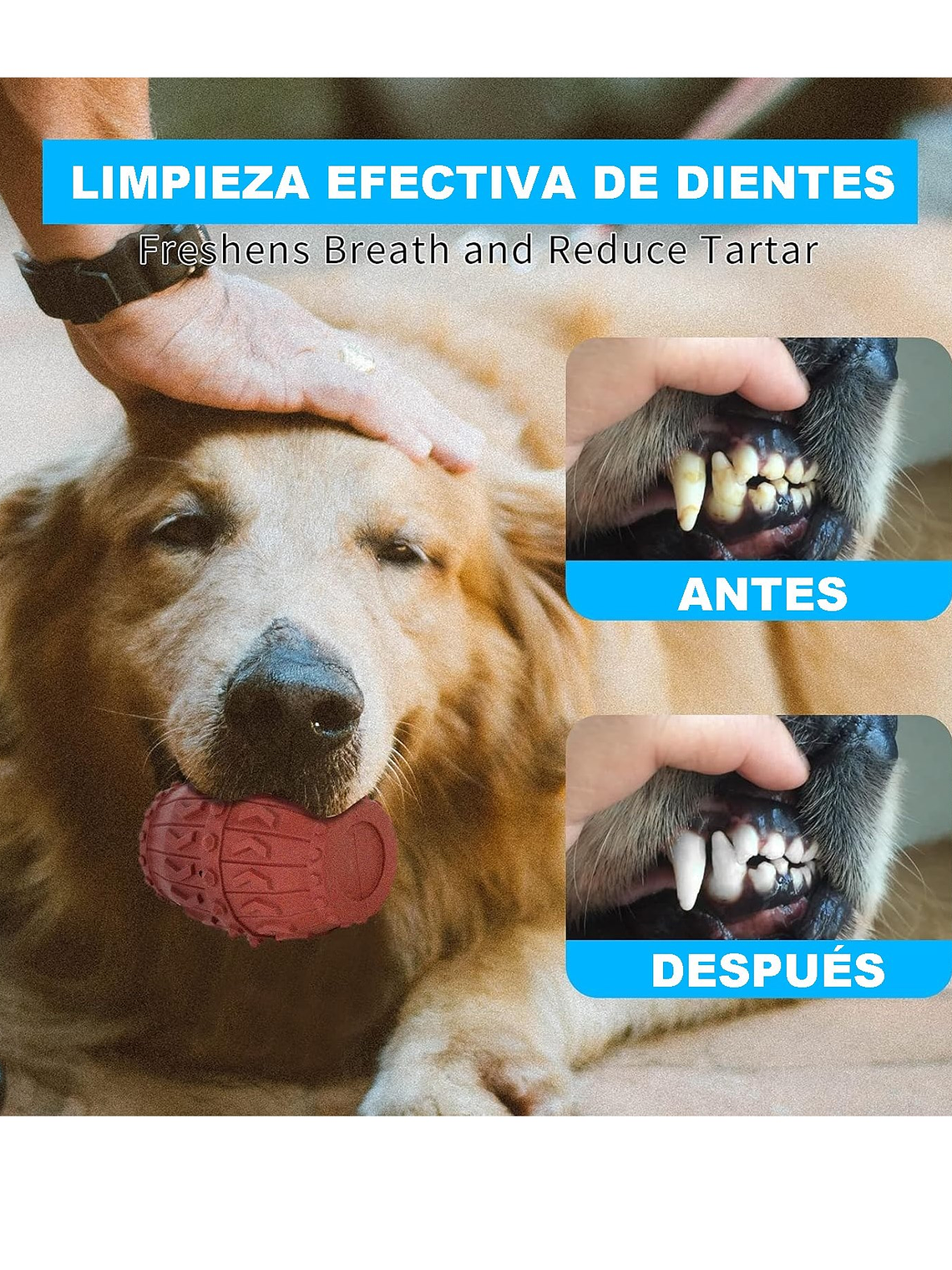 Juguete dental para perro-barril 3