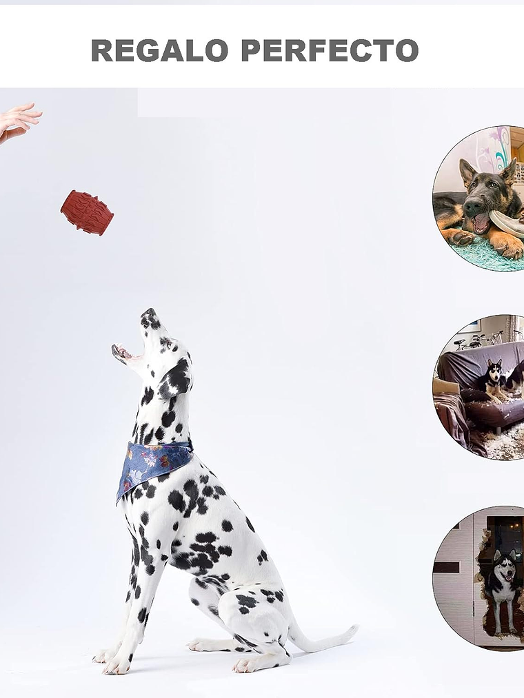 Juguete dental para perro-barril 4