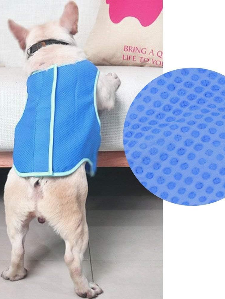 Chaleco refrescante para perro 3
