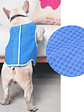 Chaleco refrescante para perro - Miniatura 3