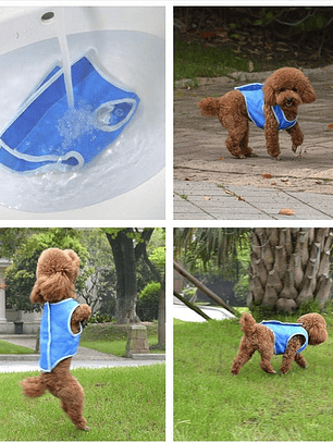 Chaleco refrescante para perro