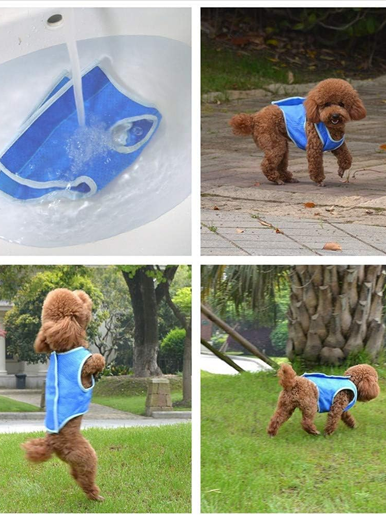 Chaleco refrescante para perro 1